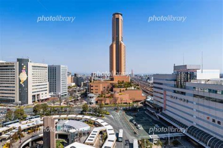 浜松の街並みと夜の市街地イメージ