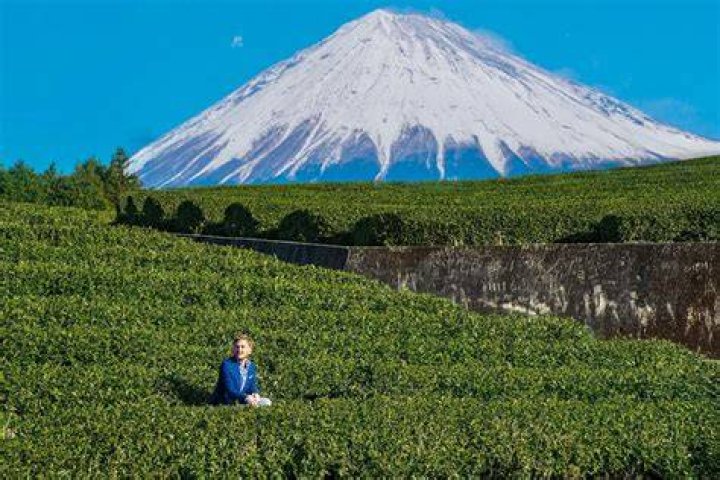 アンドエッセンス静岡｜注目のサロン・ブランドを徹底解説